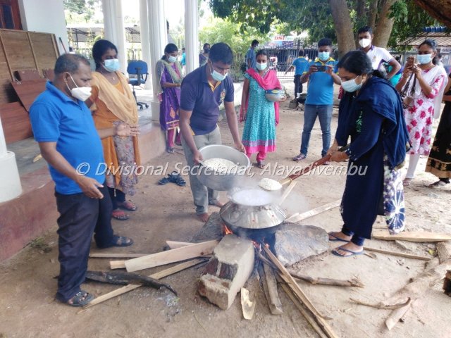 Pongal festival of Alayadivembu Divisional Secretariat-2021